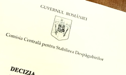 Cumparam Decizii Puncte ANRP